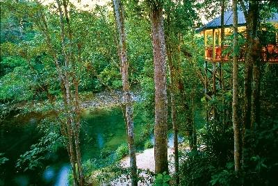 -20 a Jungle Perch from Treehouse Restaurant.jpg